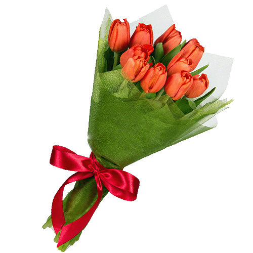 Фото товара 11 красных тюльпанов в Ирпени