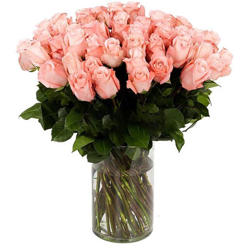 Фото товара Роза импортная розовая (поштучно) в Ирпени