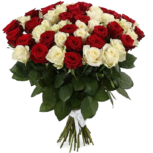 Фото товара 51 роза красная и белая в Ирпени