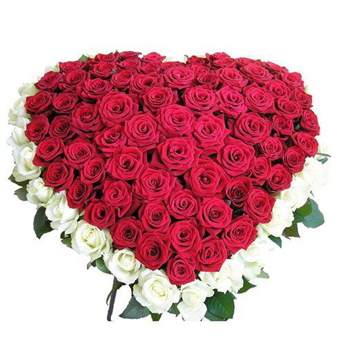 Фото товара 101 роза сердцем - белая, красная в Ирпени