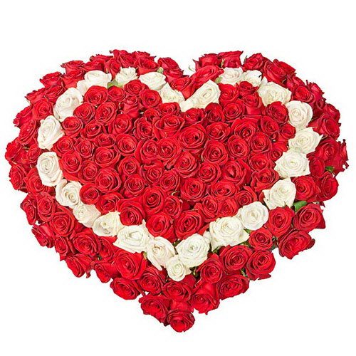 Фото товара 101 роза сердцем - красная, белая, красная в Ирпени