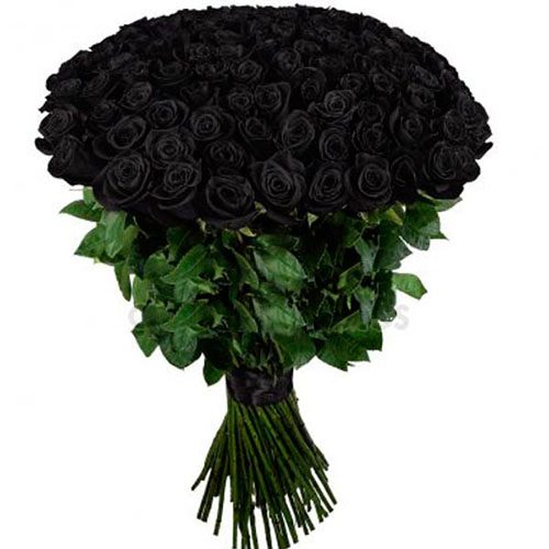 Фото товара 101 чёрная роза в Ирпени