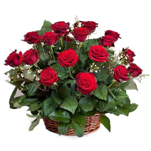 Фото товара 21 красная роза в корзине в Ирпени