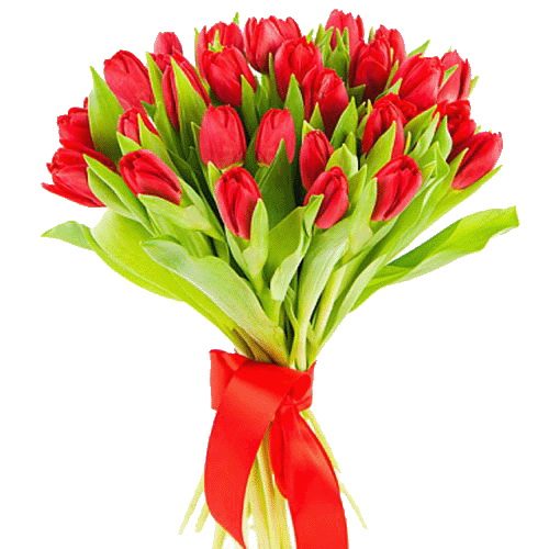 Фото товара 25 красных тюльпанов в Ирпени