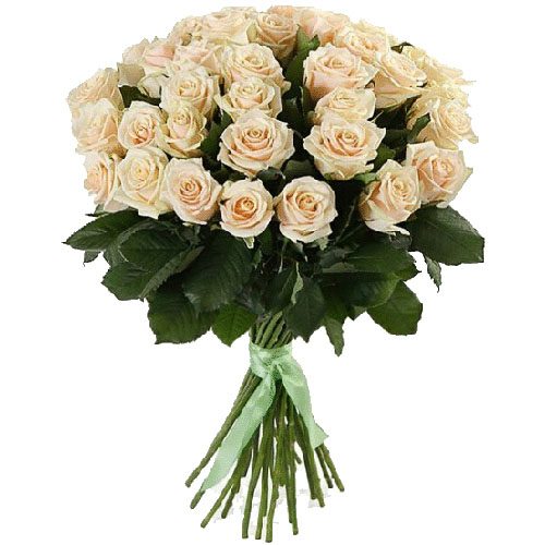 Фото товара 33 кремовые розы в Ирпени