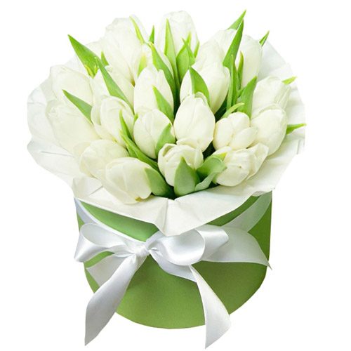 Фото товара 21 белый тюльпан в коробке в Ирпени