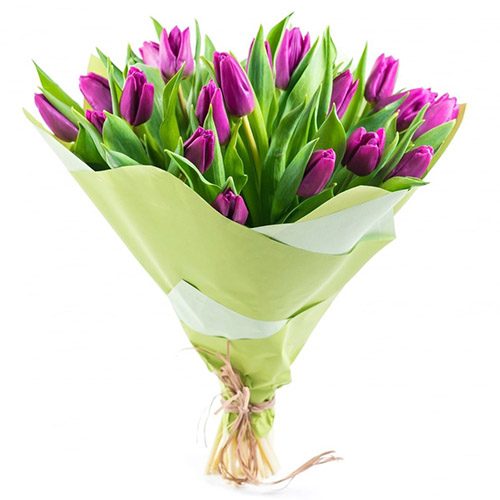Фото товара 25 пурпурных тюльпанов в Ирпени