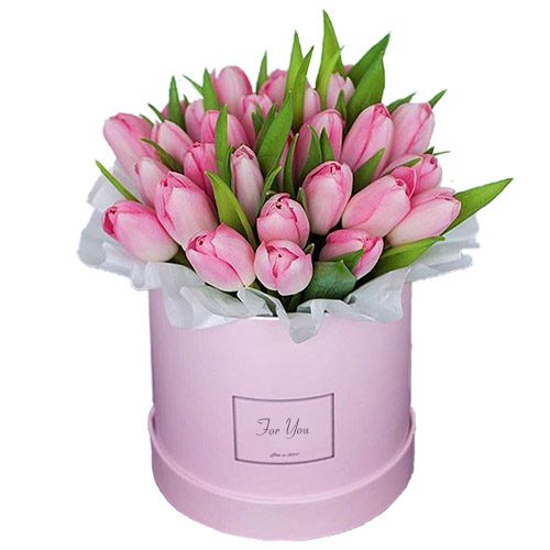 Фото товара 31 нежно-розовый тюльпан в коробке в Ирпени