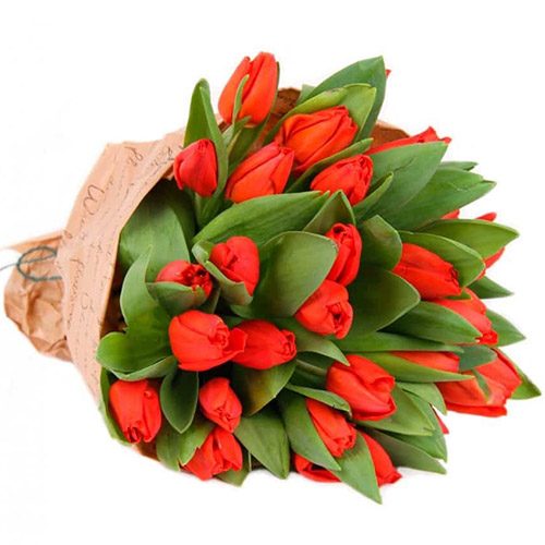 Фото товара 35 красных тюльпанов в "газете" в Ирпени