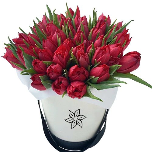 Фото товара 45 алых тюльпанов в коробке в Ирпени