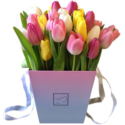 Фото товара 31 тюльпан "Весенний ветер" в квадратной коробке в Ирпени