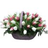 Фото товара 51 бело-розовый тюльпан в коробке в Ирпени
