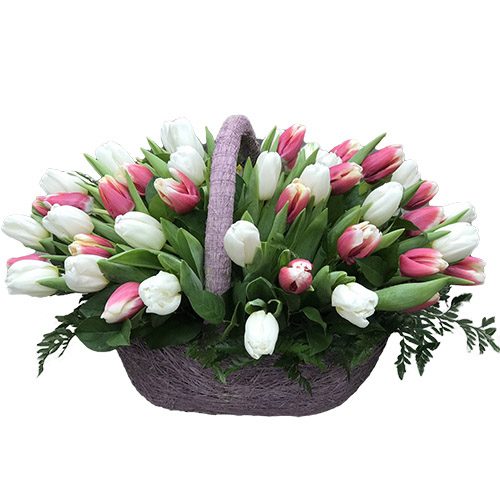 Фото товара 51 бело-розовый тюльпан в корзине в Ирпени