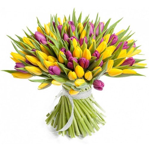 Фото товара 75 фиолетово-жёлтых тюльпанов в Ирпени