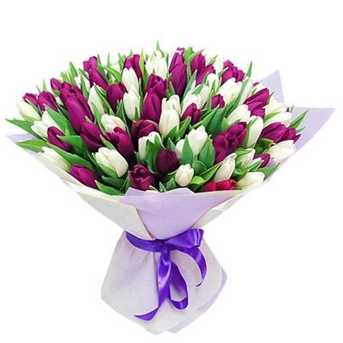 Фото товара 75 пурпурно-белых тюльпанов в Ирпени
