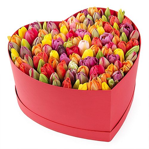 Фото товара 101 тюльпан в коробке сердцем в Ирпени