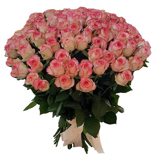 Фото товара 101 роза "Джумилия" в Ирпени
