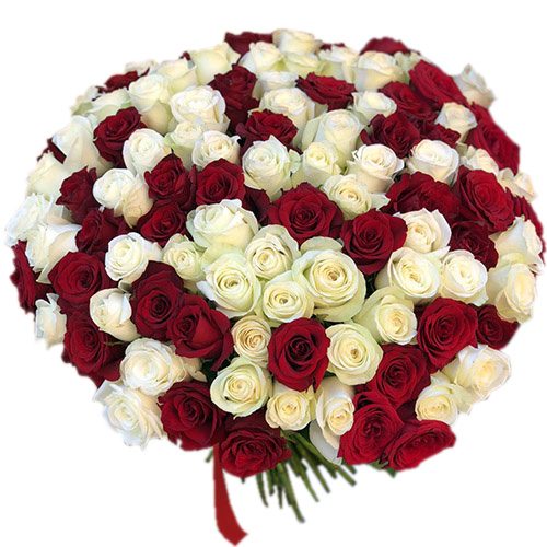 Фото товара 101 красная и белая роза в Ирпени