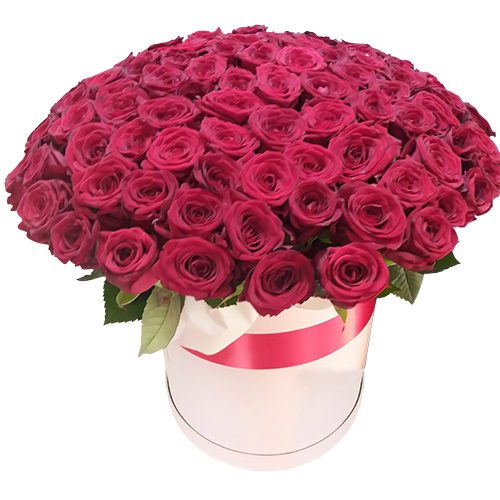Фото товара 101 роза красная в шляпной коробке в Ирпени