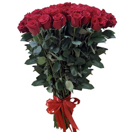 Фото товара 51 роза "Фридом" метровая в Ирпени
