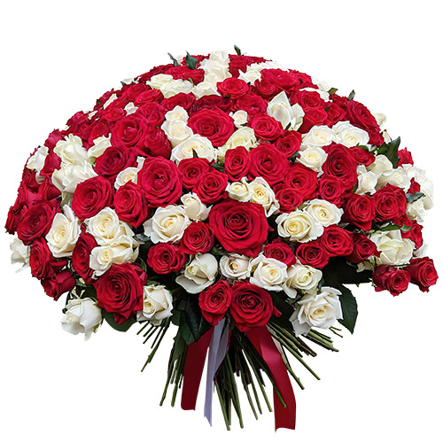 Фото товара 201 красная и белая роза в Ирпени