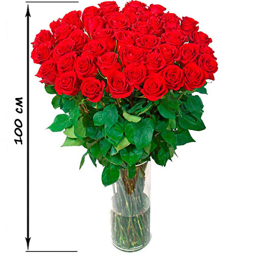 Фото товара 35 высоких роз (100 см) в Ирпени