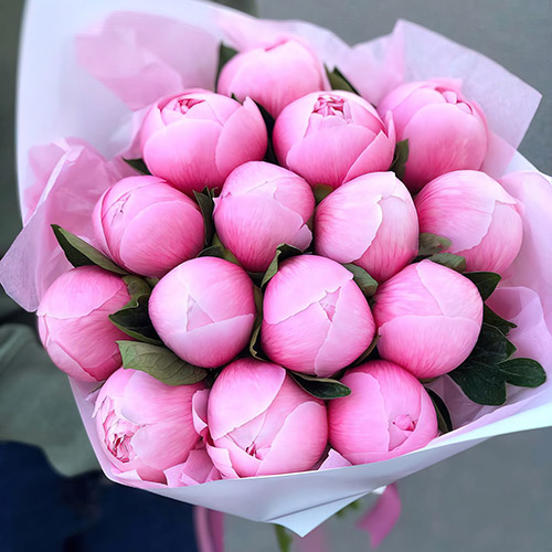Фото товара 15 розовых пионов в Ирпени
