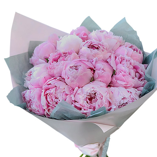 Фото товара 19 розовых пионов в Ирпени