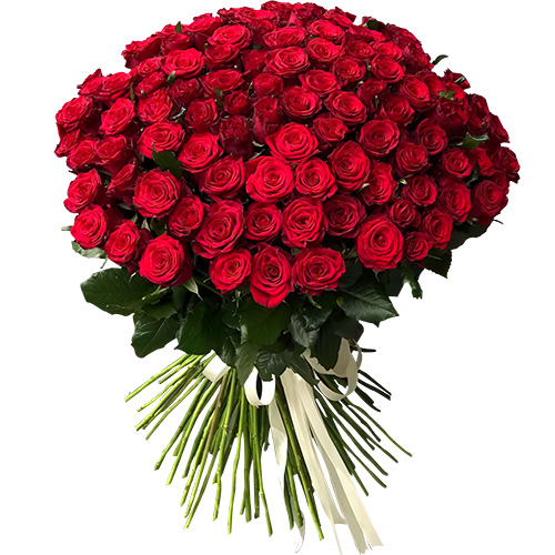 Фото товара 101 роза красная в Ирпени