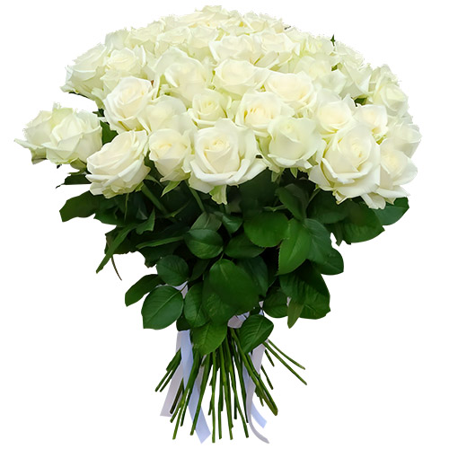 Фото товара 51 роза белая в Ирпени