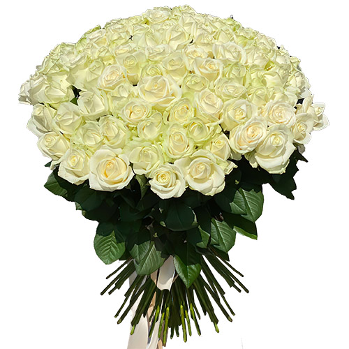 Фото товара 101 роза белая в Ирпени