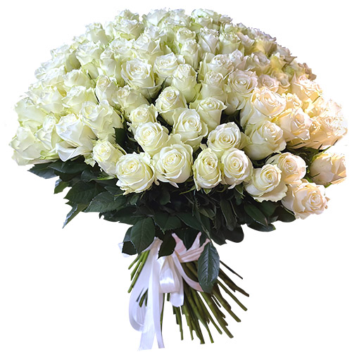 Фото товара 101 белая импортная роза в Ирпени