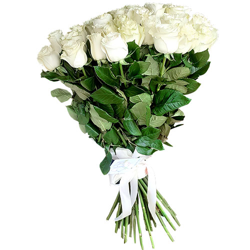 Фото товара 33 білі троянди в Ирпени