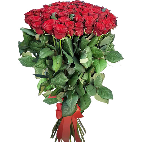 Фото товара Букет троянд 51 червона в Ирпени