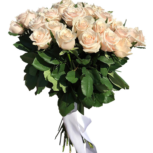 Фото товара Букет із 33 кремових троянд в Ирпени